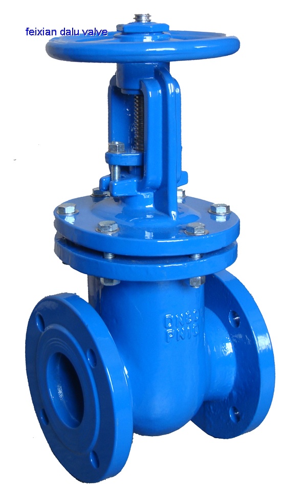 BS5163 Metal Seat Gate Valve RS