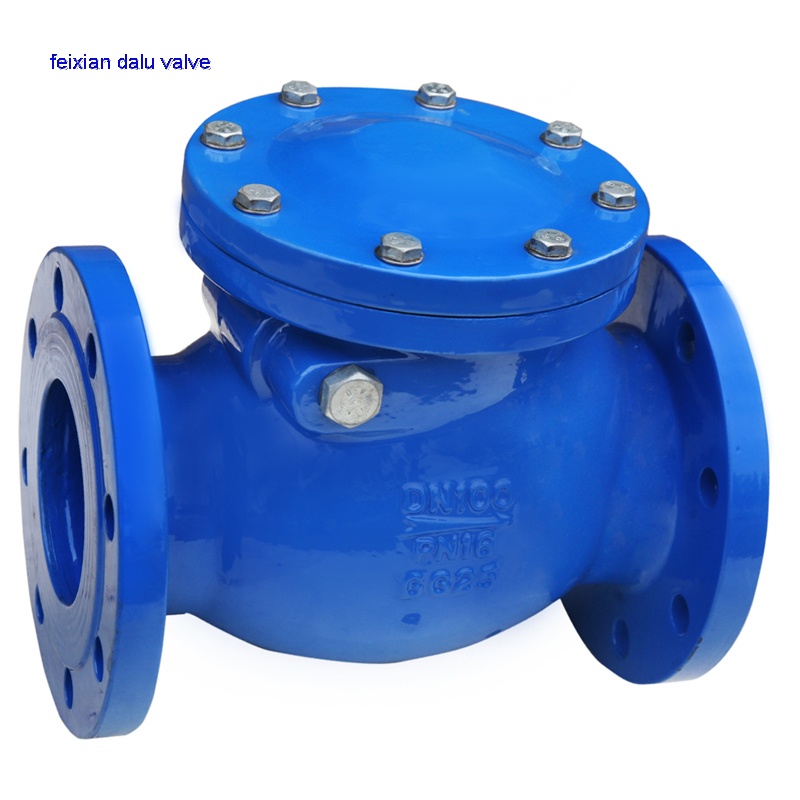 Din Swing Check Valve